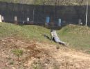 aaron s bachelor party  5 13 26  