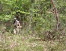 aaron s bachelor party  5 13 26  