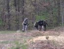 aaron s bachelor party  5 13 26  