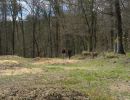 aaron s bachelor party  5 2 26  