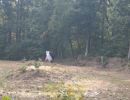 ander s bachelor party  9 26 26  