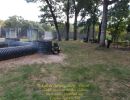 ander s bachelor party  9 26 26  