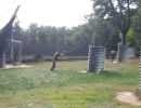 ander s bachelor party  9 26 26  