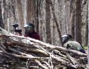 andy s paintball outing 5.6  