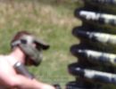 andy s paintball outing 5.6  