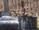 andy s paintball outing 5.6  