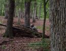 andy s relaxing paintball outing 6 28 24  