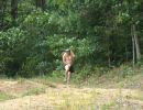 austin s bachelor party  8 14 26  