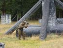 austin s bachelor party  8 14 26  