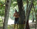 austin s bachelor party  8 21 26  