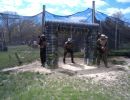 brad s bachelor party  5 9 26  