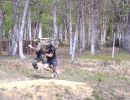 brad s bachelor party  5 9 26  
