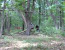 brandt s bachelor party  6 5 26  