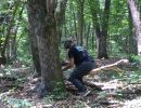brandt s bachelor party  6 5 26  