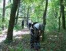brandt s bachelor party  6 5 26  