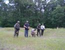 brandt s bachelor party  6 5 26  