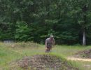 brandt s bachelor party  6 5 26  