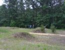 brandt s bachelor party  6 5 26  