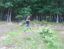 brandt s bachelor party  6 5 26  
