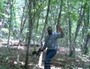 brandt s bachelor party  6 5 26  