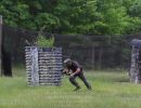 brandt s bachelor party  6 5 26  