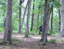 brandt s bachelor party  6 5 26  
