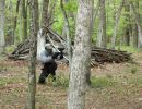bubba s bachelor party  5 26  