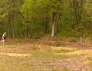 bubba s bachelor party  5 23 26  