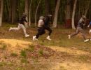 bubba s bachelor party  5 23 26  