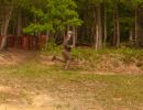 bubba s bachelor party  5 23 26  