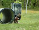 bubba s bachelor party  5 23 26  