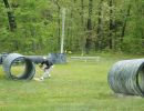 bubba s bachelor party  5 23 26  