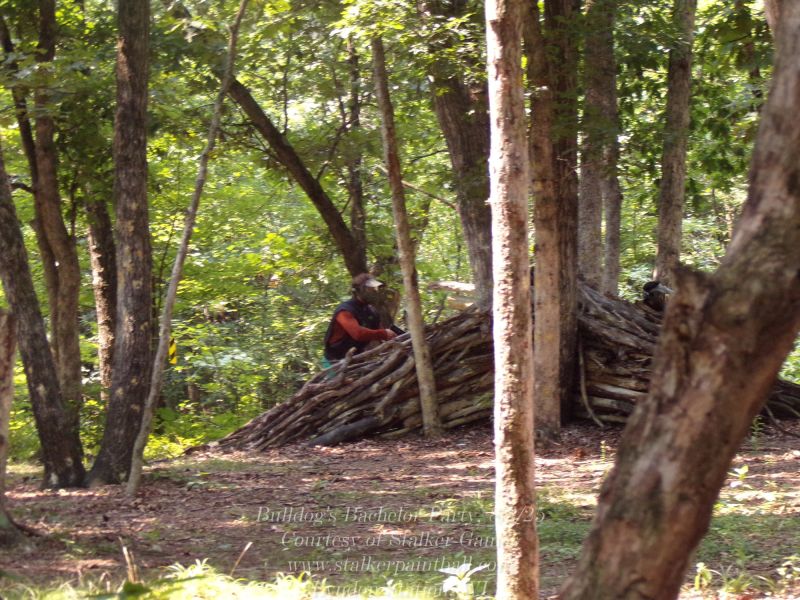 bulldog s bachelor party  8 2 25  