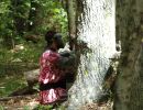dylan s bachelor party 5 30 26  