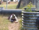 erich s bachelor party  6 20 26  