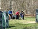 galasso bachelor party  4 25 26  