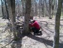 galasso bachelor party  456  