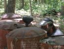 jack s bachelors  6 6 26  