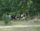 johnny s bachelor bunch  7 17 26  