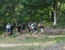 johnny s bachelor bunch  7 17 26  