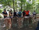 johnny s bachelor bunch  7 17 26  