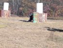 jonathan and cory s paintball outing  10 19 24  