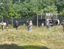 korus bachelor party  9 6 26  