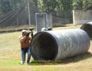 korus bachelor party  9 6  
