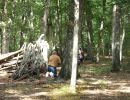 korus bachelor party  9 6 26  