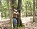 korus bachelor party  6 26  