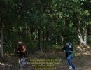 korus bachelor party  9 6 26  