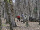 luke s bachelor party  5 2 26  