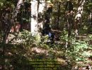 mack s bachelor party  10 03 26  