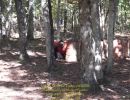 mack s bachelor party  10 03 26  